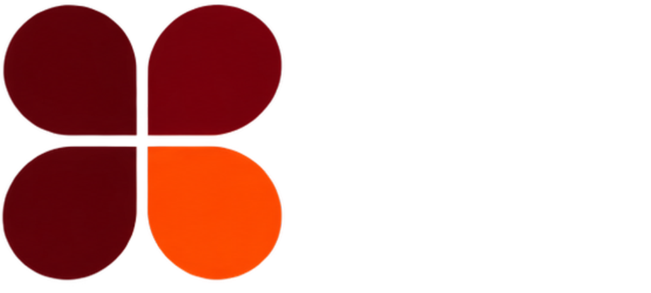 Meu Time Digital — uma solução DAPOM
